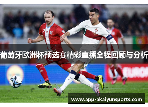 葡萄牙欧洲杯预选赛精彩直播全程回顾与分析